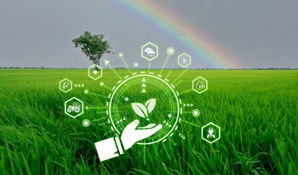 Clear Data, Confident Decisions: The Key to Carbon Accounting