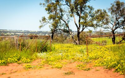 Transforming Australian Agriculture: The Power of Remote Sensing, GIS & AI