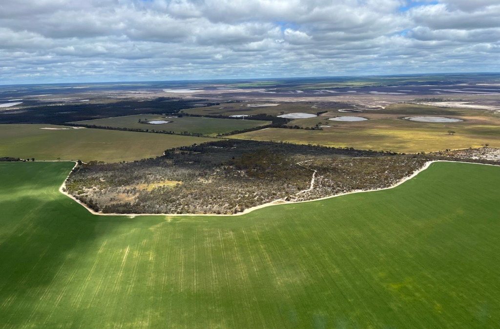 Farm Smarter, Not Harder: Why Tracking Emissions Should be Your Next Business Move