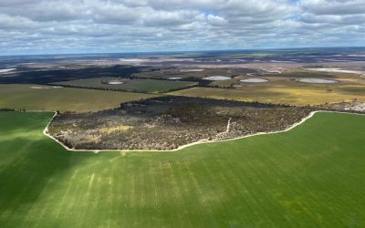 Farm Smarter, Not Harder: Why Tracking Emissions Should be Your Next Business Move