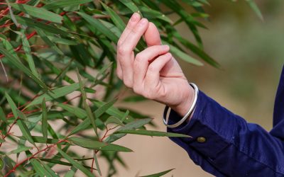 Embracing Carbon Farming