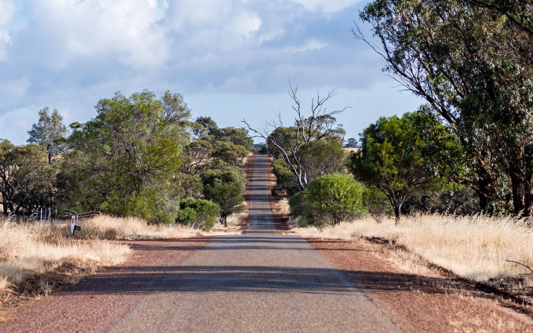 They’re Counting Your Emissions. Are You?