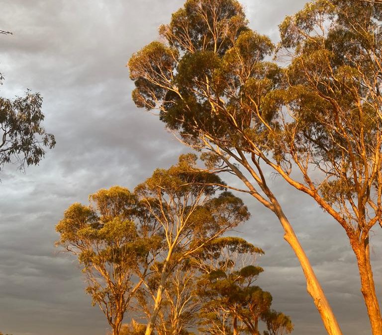 Carbon Questions from the Road: Let’s Clear the Air